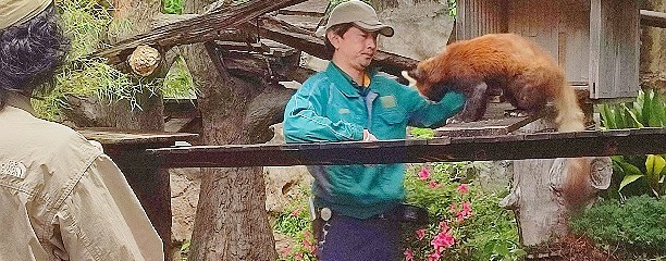 横浜市立野毛山動物園