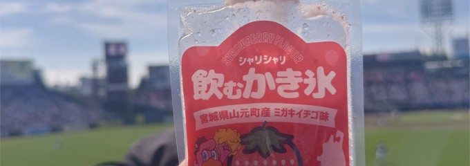 楽天モバイルパーク宮城