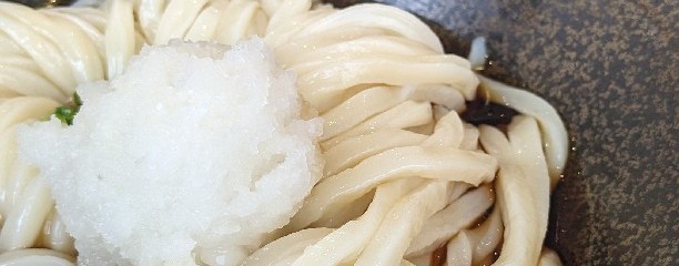 山下本気うどん 佐野プレミアム・アウトレット