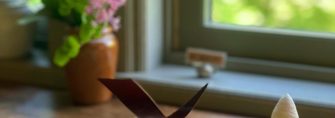 siegfrieda ジ-クフリ-ダ