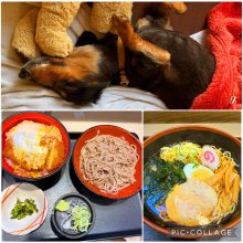 kumikomsさんの写真