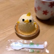 hippocoさんの写真