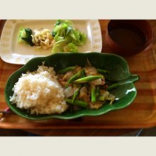 HarunaUSAさんの写真