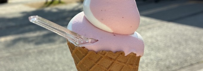 道の駅 奥河内くろまろの郷