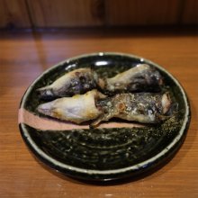 schizokidsさんの写真