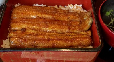 梅田 東京 日本橋 大手町 人形町 うなぎ どじょう