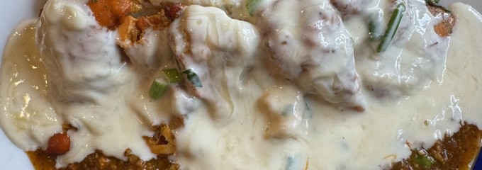タンドリーピザとカレーの店 サロジの窯