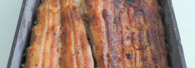 うなぎの店 東條