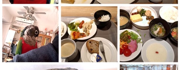 タワーテラス