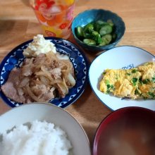 mika_mikaさんの写真
