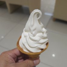 t_rex24さんの写真