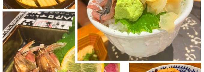 シハチ鮮魚店 狸COMICHI店