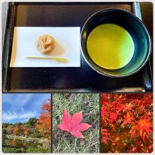 earl_greyさんの写真