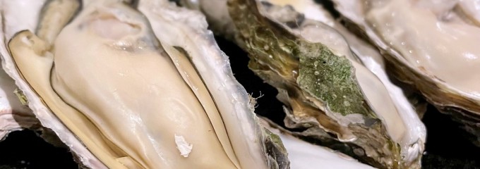 信長 本店 もつ鍋