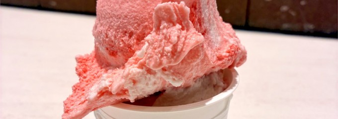 ポーラーベア イオンモール広島府中店