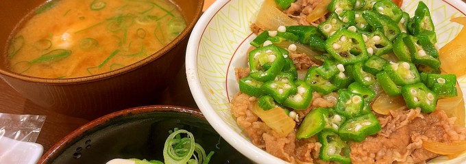 すき家 126号千葉弁天店