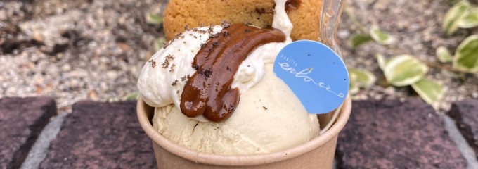 vanilla enlacio(バニラエンレイシオ)