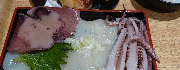 イカ恋食堂