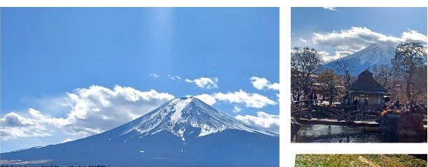 居酒屋みなみ