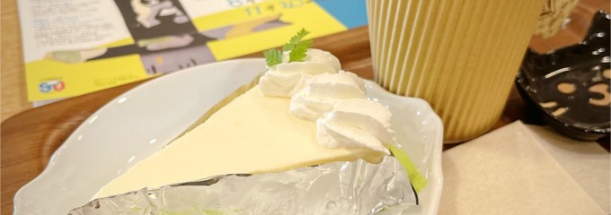 セタビカフェ