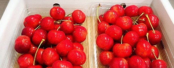 よってけポポラ