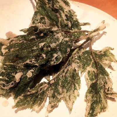 はっとり 原宿 表参道 青山 明治神宮前 和食 その他 はっとり 原宿 表参道 青山 明治神宮前 和食 その他