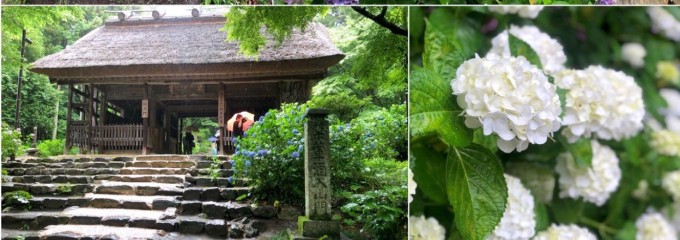 阿弥陀寺