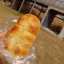h18416mikanさんの写真