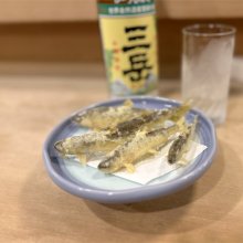 hirof_wingsさんの写真