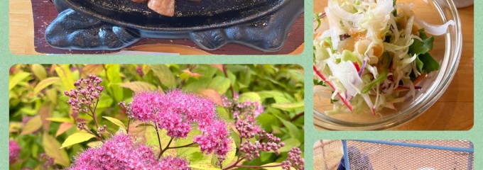 レストランヌップクガーデン