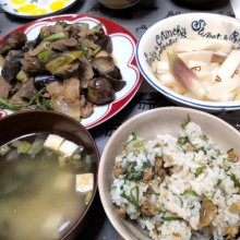 ruridayoさんの写真