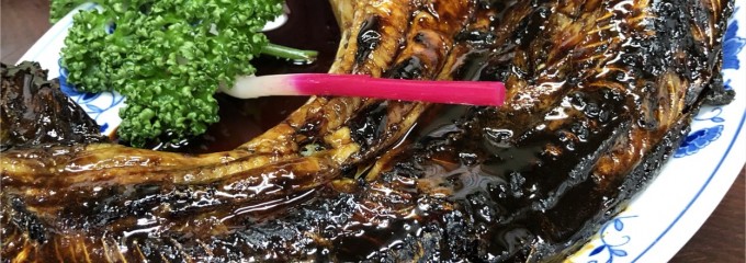 柏屋【魚料理/うなぎ/なまず/串カツ/ランチ/おちょぼさん/海津】