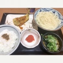 Shinji_Hondaさんの写真