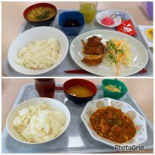 jun617motoiさんの写真