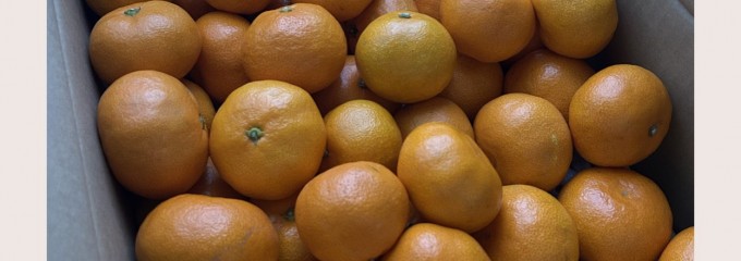 のま果樹園 本社工場