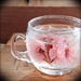 春にぴったり♩「桜の花びら」を使ったお料理アイデア&レシピまとめ