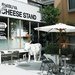 SHIBUYA CHEESE STAND (渋谷チーズスタンド)