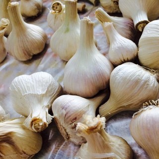 もう臭くない 香るカラダになる 効果的な食べ物