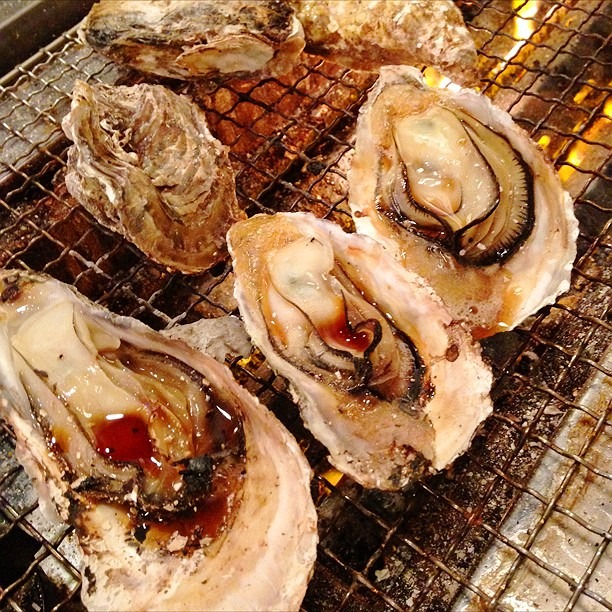 生牡蠣やカキフライが食べ放題 安くて美味しい東京都内のおすすめかき小屋 オイスターバー17選 Page 2 2ページ目