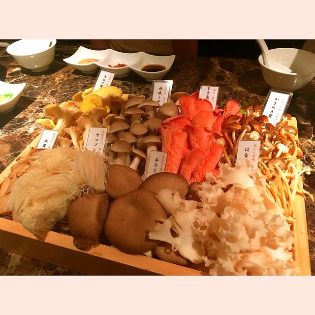 東京都内 名阪の きのこ鍋 が美味しいおすすめ店 健康やダイエットにも効いて女性に大人気