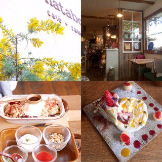 多治見 ランチが美味しい人気店おすすめランキング